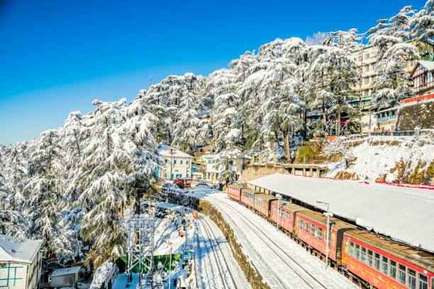 Shimla Honeymoon Package